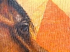 Detail 1 von 'Arabian horse with pyramids'