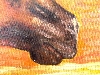 Detail 2 von 'Arabian horse with pyramids'