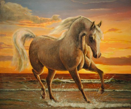 'Arabisches Pferd am Meer' in Grossansicht