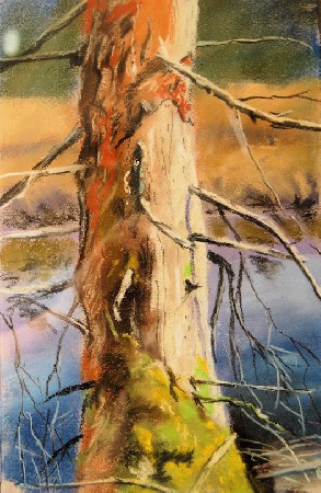 'abgestorbener Baum ' in Grossansicht