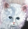 detail 2 of 'Cats1000 '