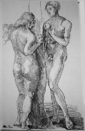'Adam und Eva Zeichnung nach Drer ' in Grossansicht