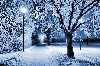 Winternacht von Dan Kollmann