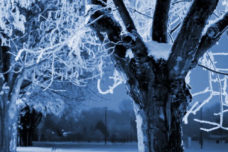 'Winternacht' in Grossansicht