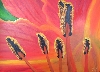 Werk '5 Taglilie ' von 'Henriette Nagel'