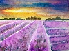 Werk 'Lavendelfeld' von 'Irina usova'