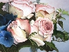Zarte Rosen von Mamur Markovic
