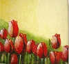 Tulpen von Mamur Markovic