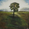 Werk 'Der Baum' von 'Sieglinde Schbel'