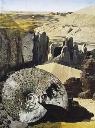 'Wstengebirge mit Ammonit' in Grossansicht