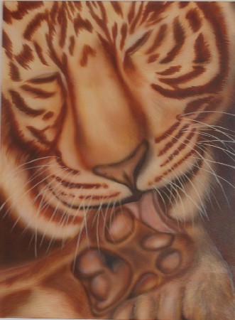 'tiger gold - kupferrot' in Grossansicht