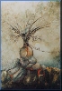 wissenbaum von Wolfgang Heller