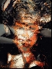 Werk 'Simone Signoret ' von ' Orfeu de SantaTeresa'