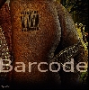 Werk 'Barcode ' von ' Orfeu de SantaTeresa'