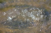 Wasser - gua IMG 3997 of  Orfeu de SantaTeresa