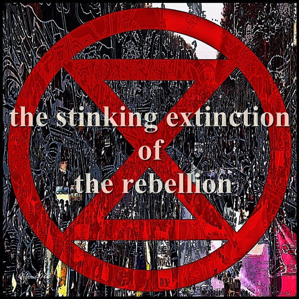 Werk 'Extinction Rebellion ' von ' Orfeu de SantaTeresa'