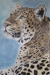 chinesischer Leopard