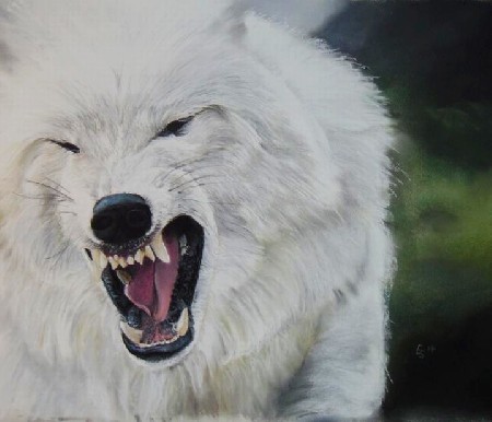 'Polarwolf' in Grossansicht