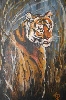 Tiger von Andrea Plank