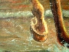 Detail 1 von 'Arabisches Pferd am Meer'