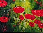 Mohn 