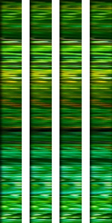 'Forest Code ' in Grossansicht