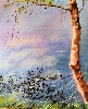 Birke am Weiher von Johannes Baul