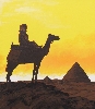 Tuareg im Sonnenaufgang von Birgit Stuke