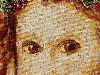 Detail 2 von 'Roses of Vivian'
