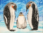 Pinguine im Schnee