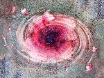 Blten-Wirbel / Blossom Whirl