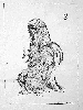 Raubvogel mit Beute von Carlo Cazals