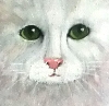 detail 3 of 'Cats1000 '
