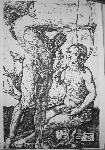 Apollo und Psyche-nach A.Dürer 