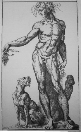 'Bacchus,unbekannter ital.Maler-16tes Jahrhundert ' in Grossansicht