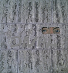 Voyeur 