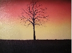 Baum i. Abendstimmung