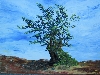 Wilder Baum von Gisela Olbrich