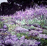 Sommertraum in lila 