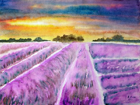 'Lavendelfeld' in Grossansicht