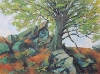Landschaftsmaler / Sprießender Baum