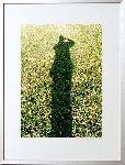 Grasschatten