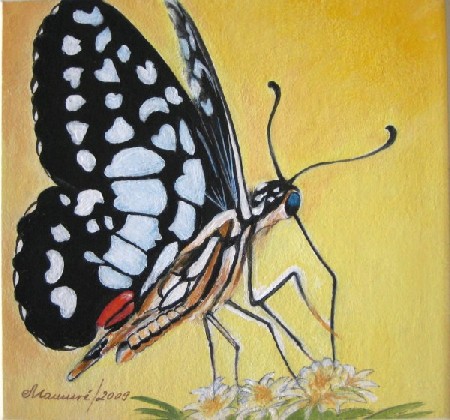'Schmetterling 1' in Grossansicht