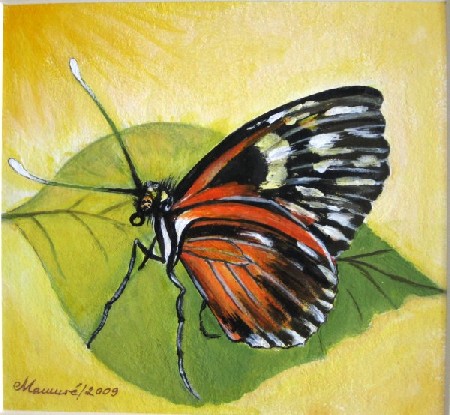 'Schmetterling 2' in Grossansicht
