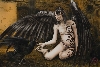 Werk 'Craw angels II ' von 'Paco del Mar'