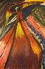 Feuervogel (340 x 512)  von  Tausendgrün