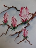 Magniolienblüten  von Ulrike Giebel
