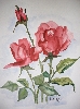 Rosen von Ulrike Giebel