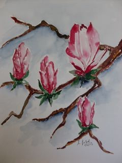 'Magniolienblüten ' in Grossansicht