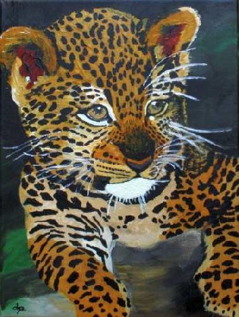 'Junger_Leopard ' in Grossansicht
